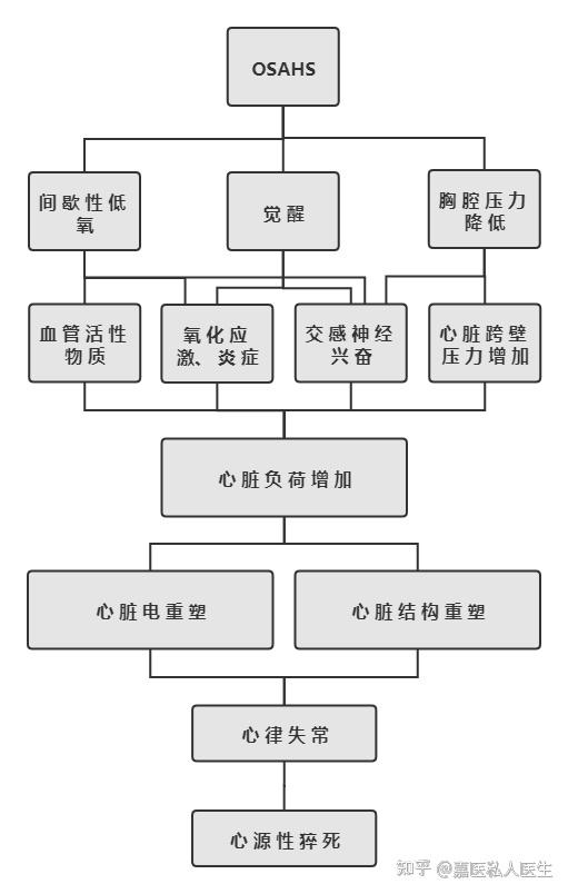 图3 osahs引发心源性猝死的可能机制osahs危害如此之大,只有早期