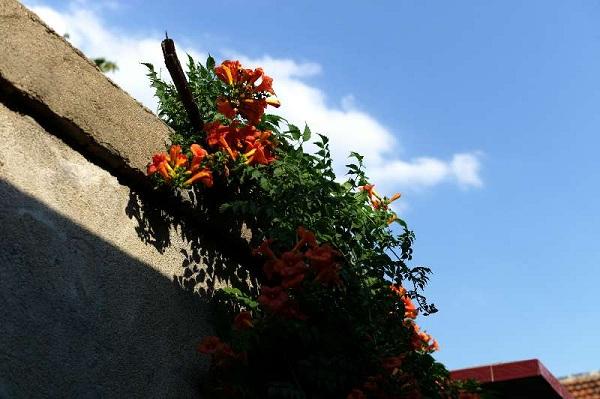 玩儿院子的爱恨情仇番外篇——香水院