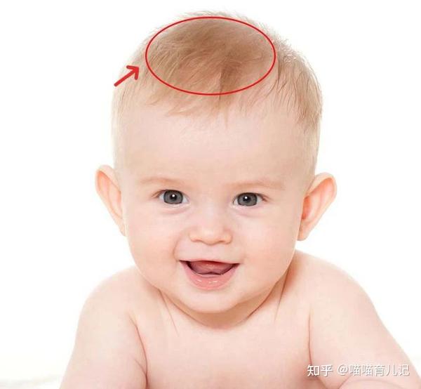 新手爸妈必读：婴儿囟门那些事儿 - 知乎