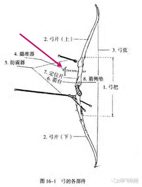 反曲弓的结构图解图片