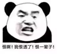 淘宝网支付宝_淘宝网如何用支付宝支付_淘宝网支付宝