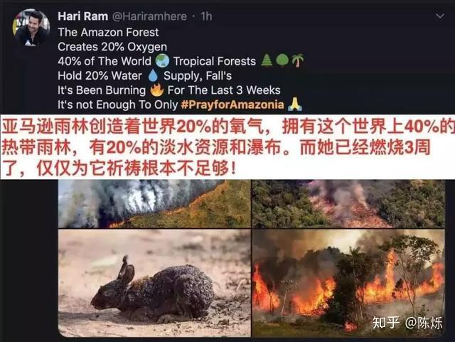 亚马逊火灾生灵涂炭政府和媒体却不闻不问防暑防火防营销