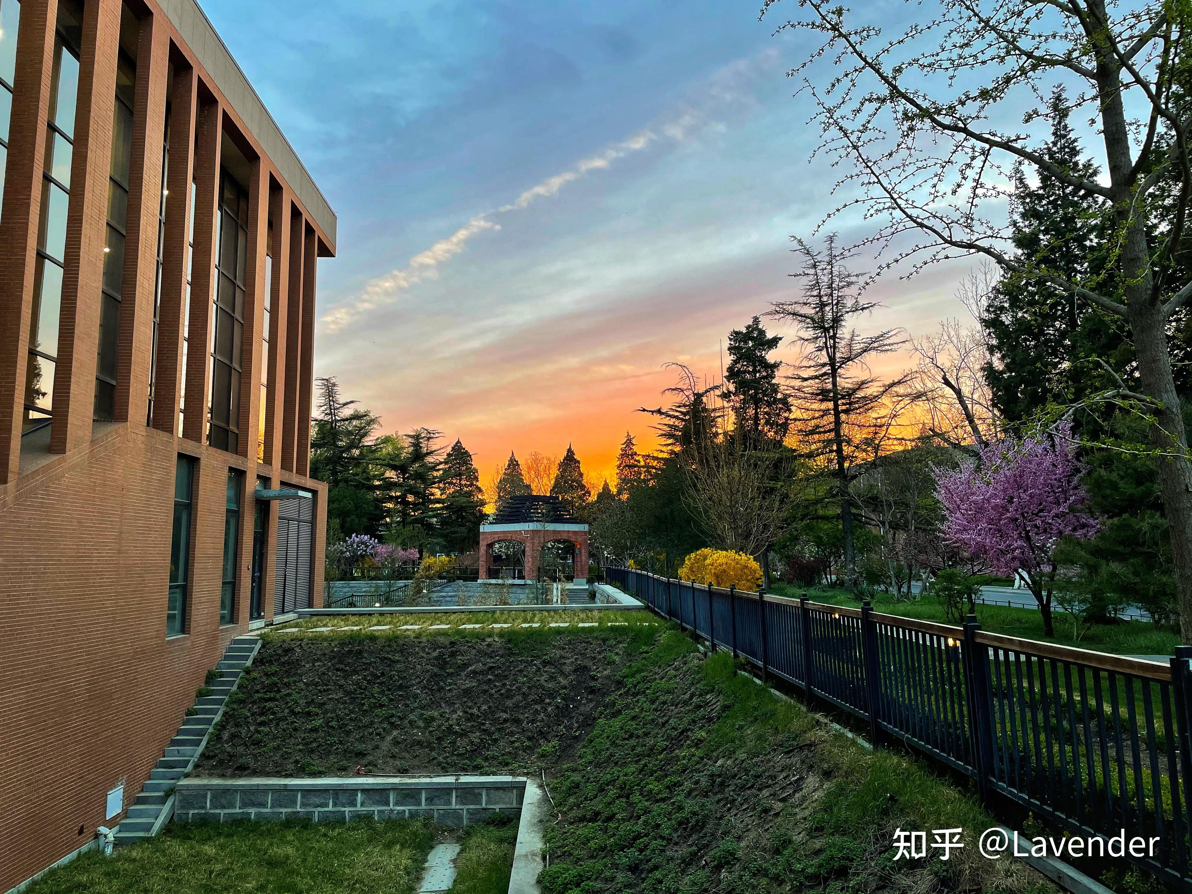 清华大学的校园环境如何