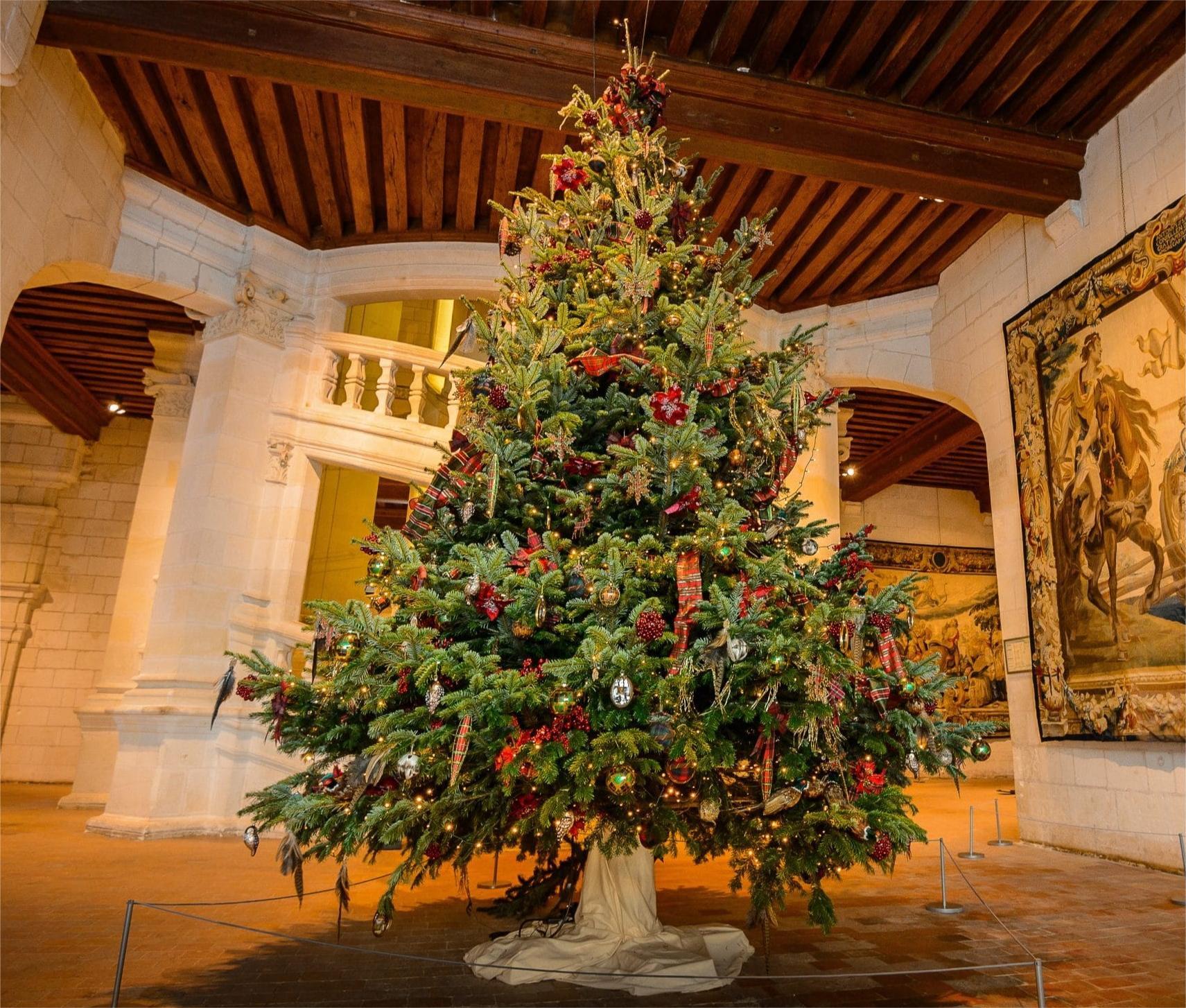 11月起,来法国感受不一样的圣诞节!