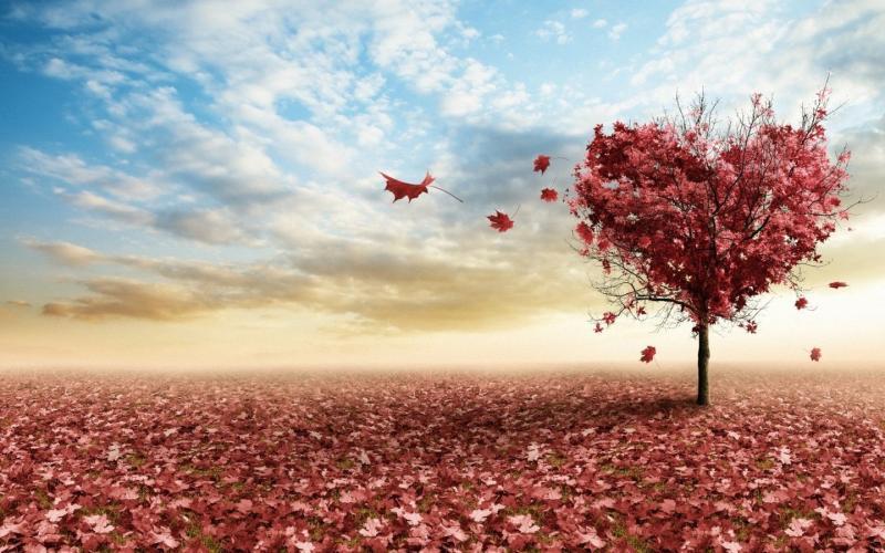 v2-adeb3cc4539285b44e0c69e0a5e51dff_1440w.jpg?source=172ae18b