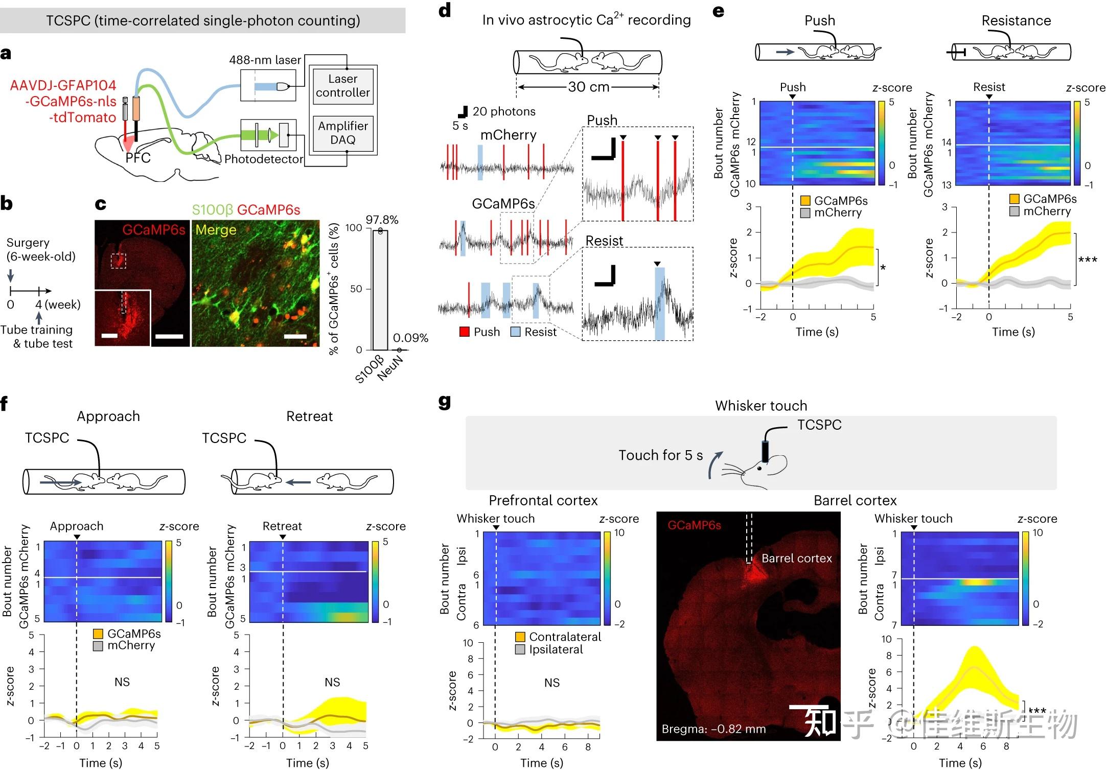 nature-neuroscience