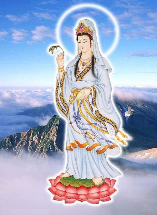 仁德歌 - 知乎