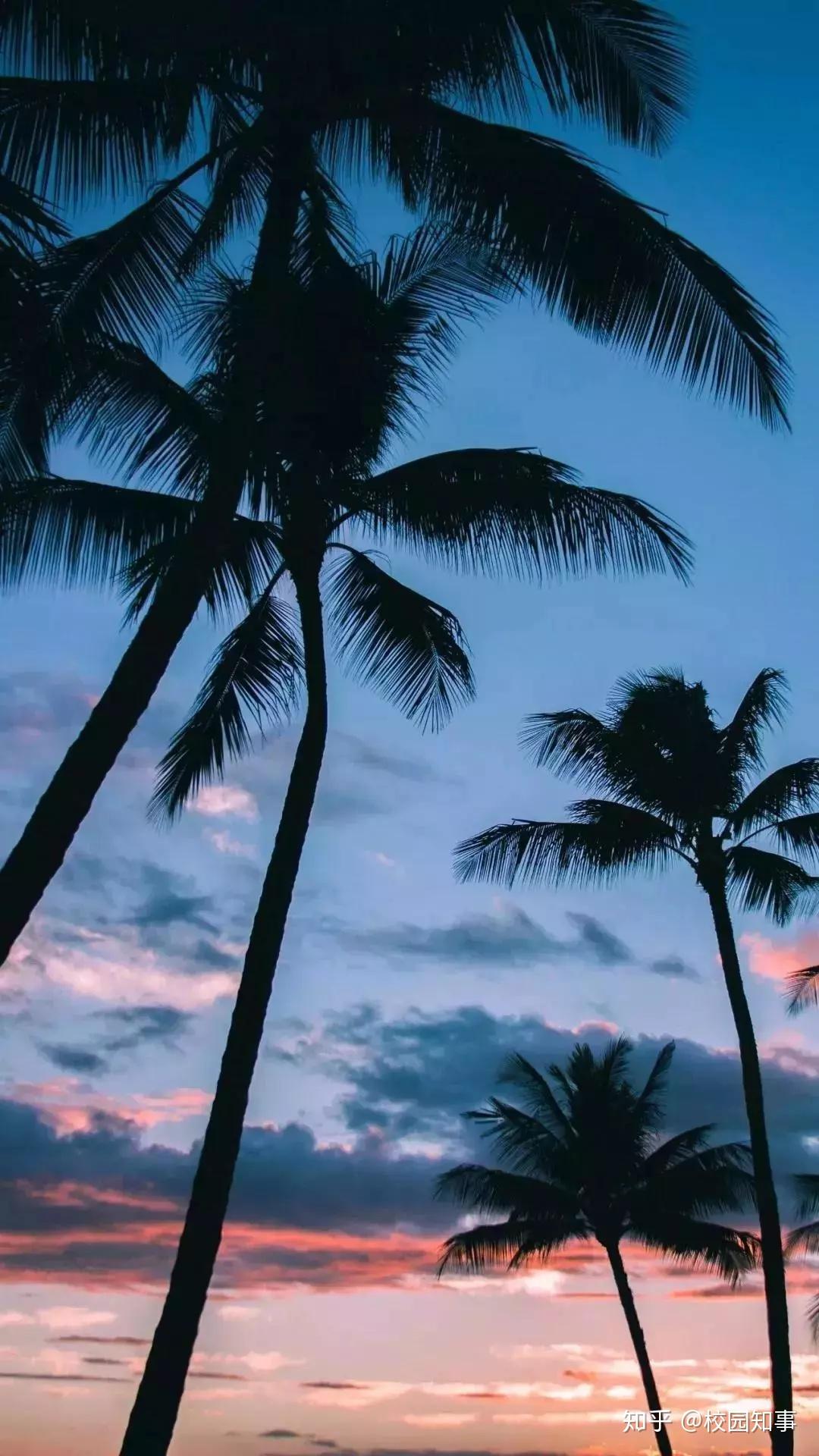 今日头像 - 知乎