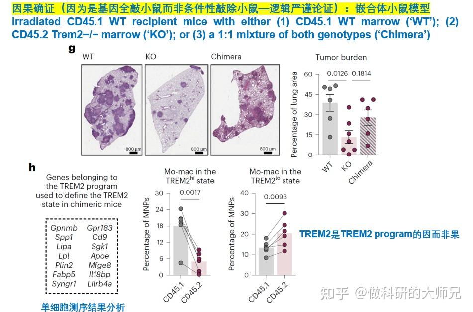 深度 || 手把手带你完成一篇30+大子刊课题设计到逻辑证明的全面剖析！大师兄文献带读系列第一期#1 [文字版] - 知乎