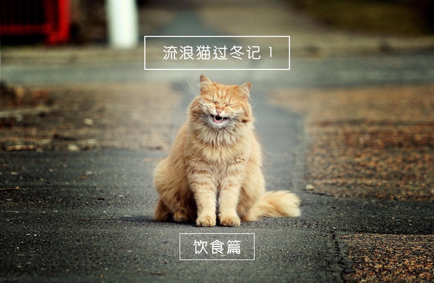 v2-ae01dc6e54f98b90a739d2f2fb95f776_1440w.jpg?source=172ae18b