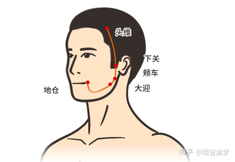 倪海厦针灸课笔记(12)— 足阳明胃经上 - 知乎