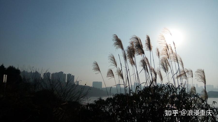 患者通常是封閉自我,不愛與人交流,也不願意把內心的想法告訴他人,久