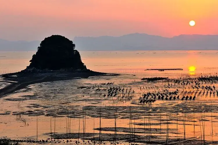 海带霞浦680多年线面野生猕猴鸟类中的大熊猫摄影团