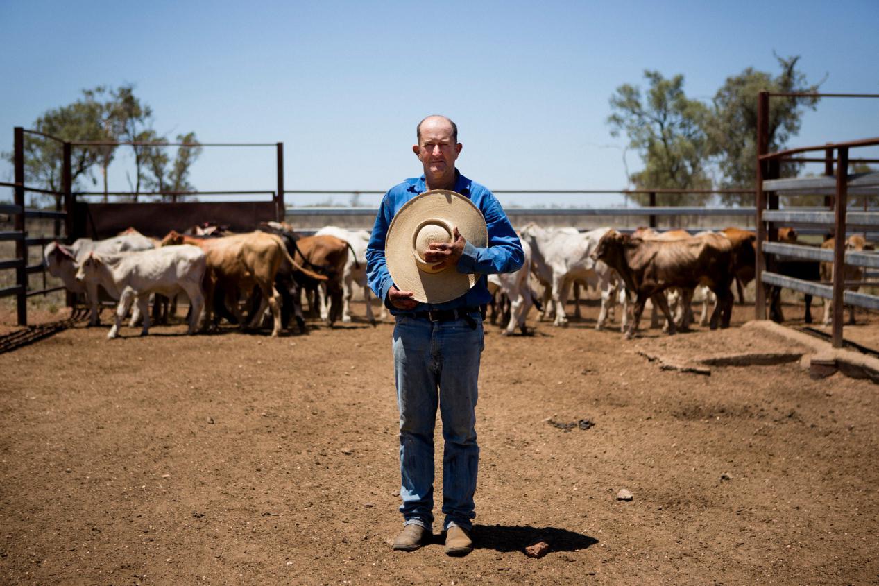 08 new york times澳大利亚虽然是一个移民者趋之若鹜的社会组织