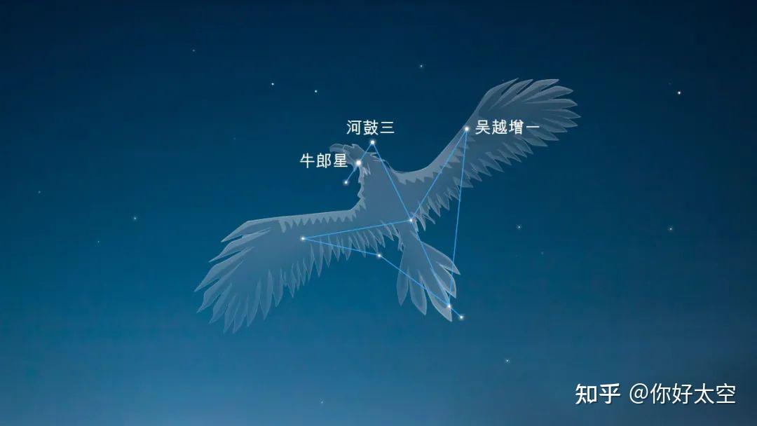 牛郎星你必须知道的10个知识 - 知乎