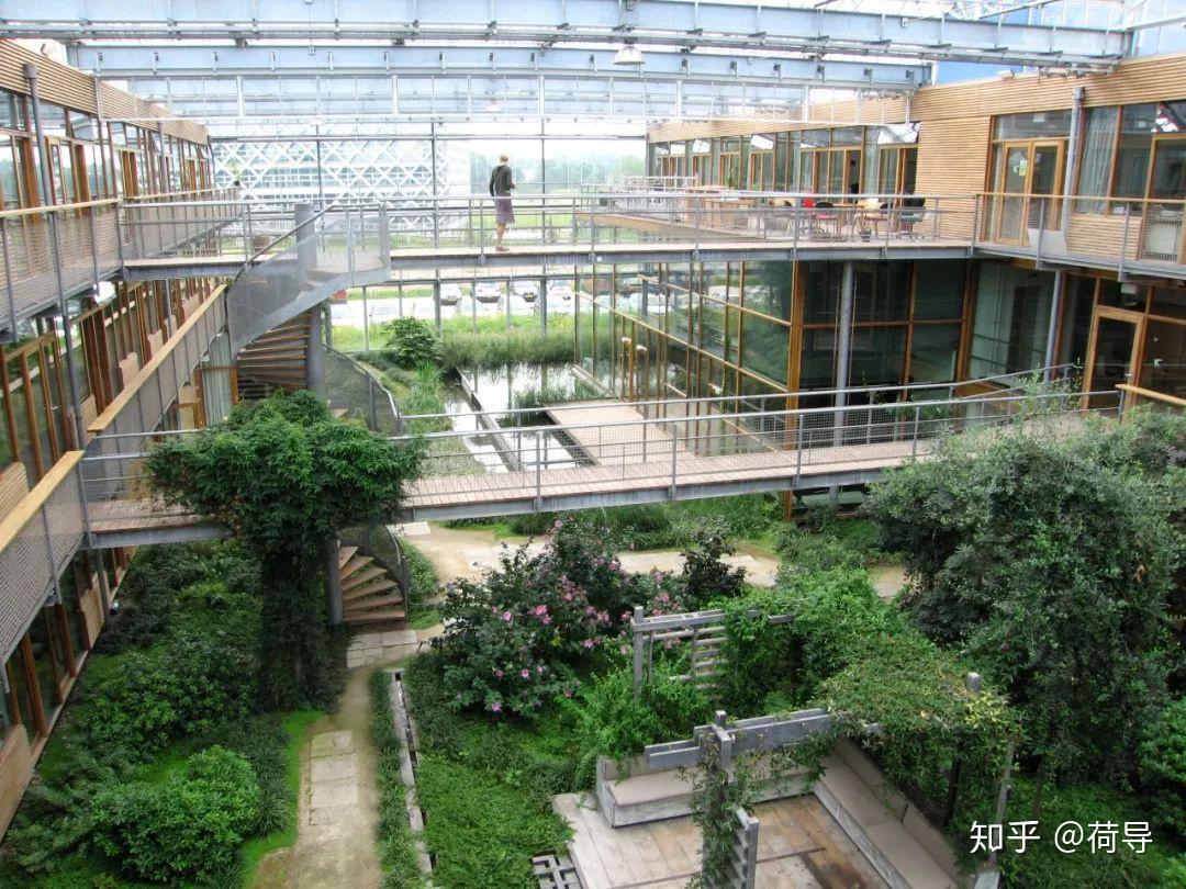 荷兰瓦格宁根大学:农林食品世界排名第一,附专业列表和录取要求|荷导探校 - 知乎