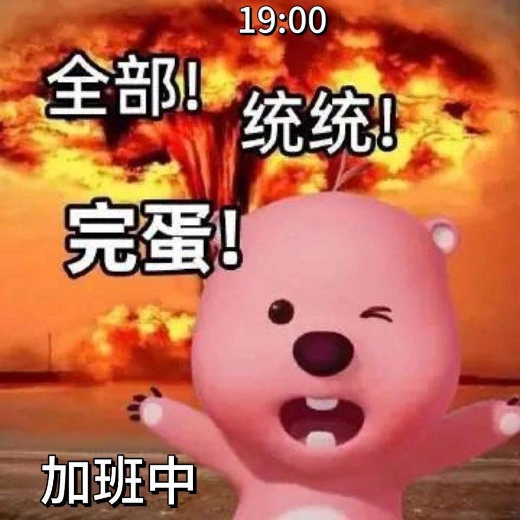 loopy表情包合集 - 知乎