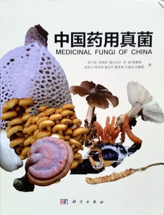 蘑菇！蘑菇！蘑菇！蘑菇！蘑菇！ - 知乎