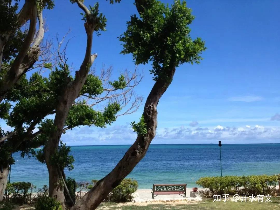 有著東方夏威夷之稱的沖繩島,是日本少有的島上有成林的棕櫚樹,檳榔樹