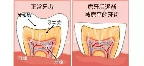 v2-ae4aa704ac362a85455112eada6d87ee_1440w.jpg?source=172ae18b