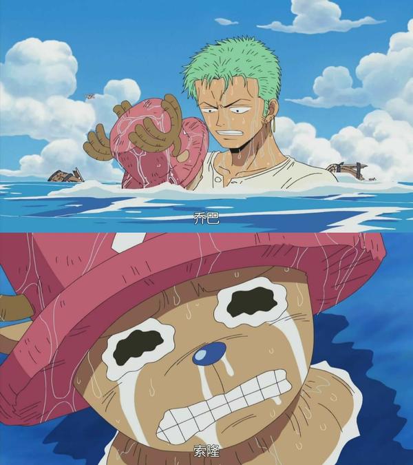 看我索隆实力宠乔巴`