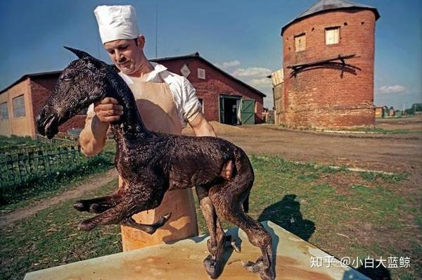 Мутанты чернобыля фото людей и животных