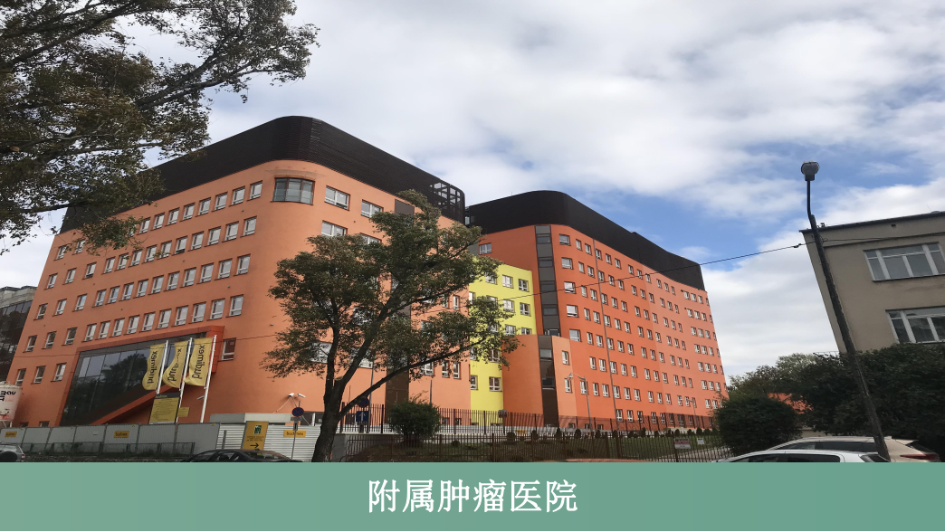 卢布林医科大学