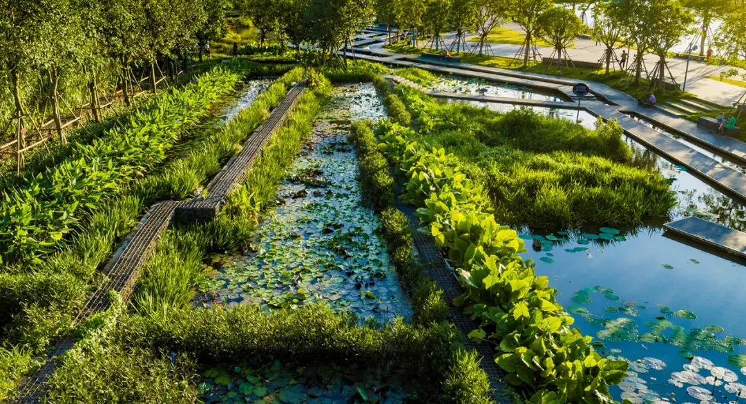 六盘水明湖湿地公园/土人三亚红树林生态公园/土人03 快题中怎么画