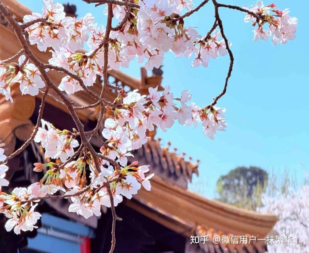 相思两字最难写,一笔空惹朱颜叹,一笔花落成烟云 - 知乎