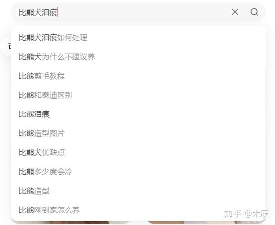 输出，通过在小红书搜索框检索关键词可以在下拉框找到用户常用搜索词。