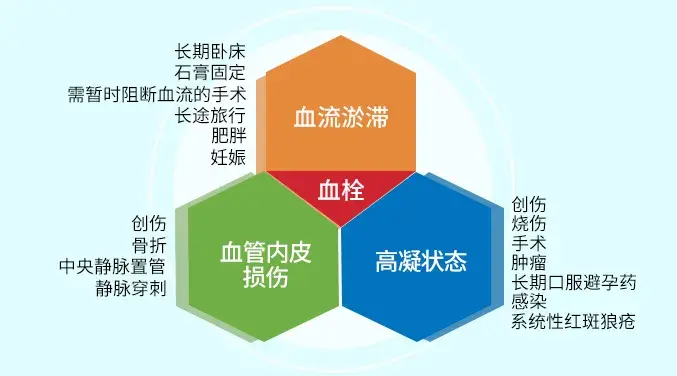 静脉血流缓滞,静脉壁损伤和血液高凝状态是下肢深静脉血栓形成的主要