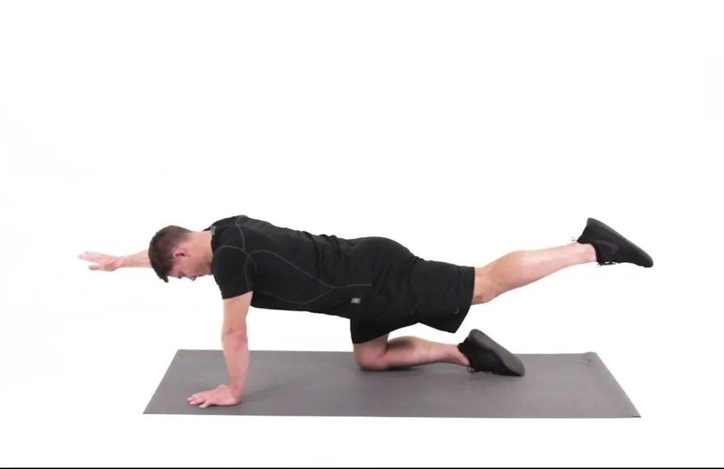 像四点撑地前后摆动和鸟狗式这两个fms课程的基本动作,都需要先从四点