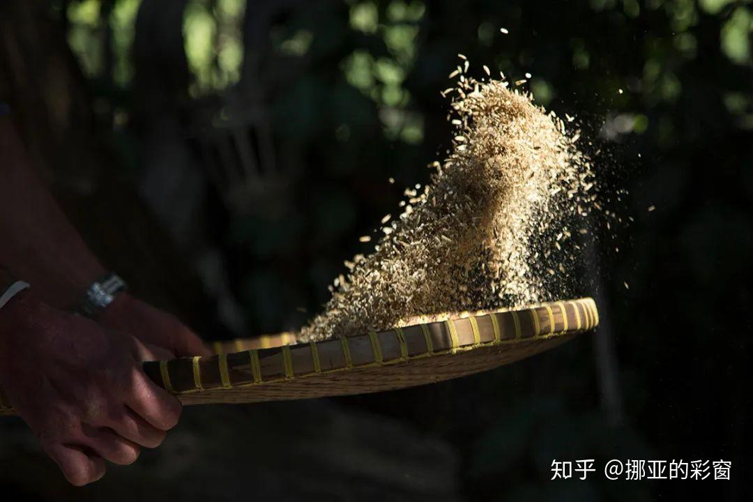 醒来继续琢磨着那个梦,脑海中浮现出颠簸箕筛谷子的动图.