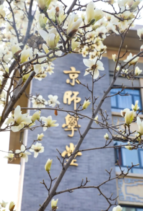 考研院校分析北京师范大学