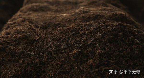 正在堆渥发酵的普洱熟茶