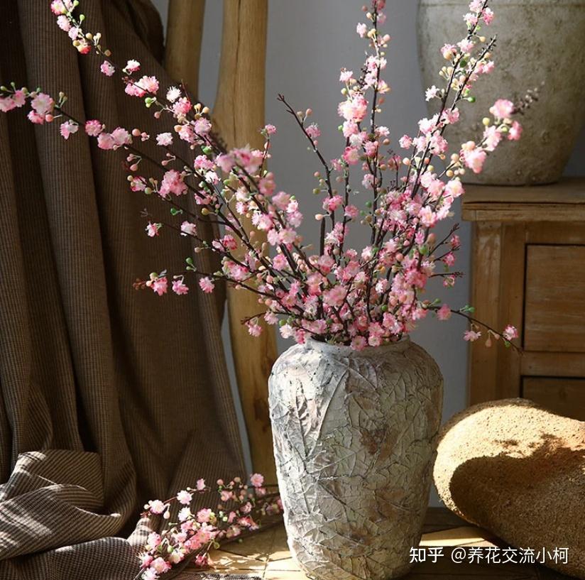 春天桃花鲜切枝养护指南,如何促花并延长花期? - 知乎