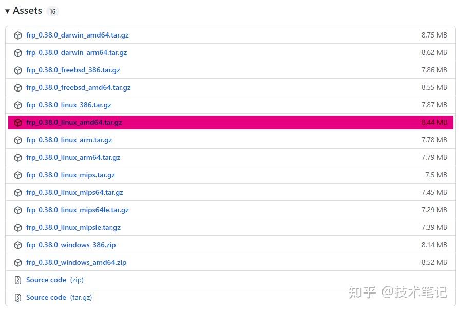 frp内网穿透将你的本地服务器映射到外网插图1 frp内网穿透将你的本地服务器映射到外网插图1