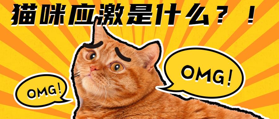 v2-aec51165c89d21b541a9af66c64947cc_1440w.jpg?source=172ae18b