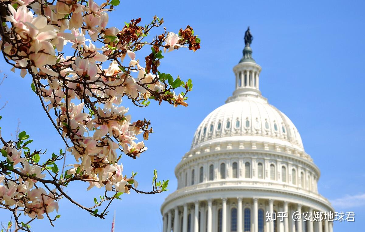 海地总统遇刺身亡,凶手持美国口音,这事儿跟美国有关系吗 - 知乎