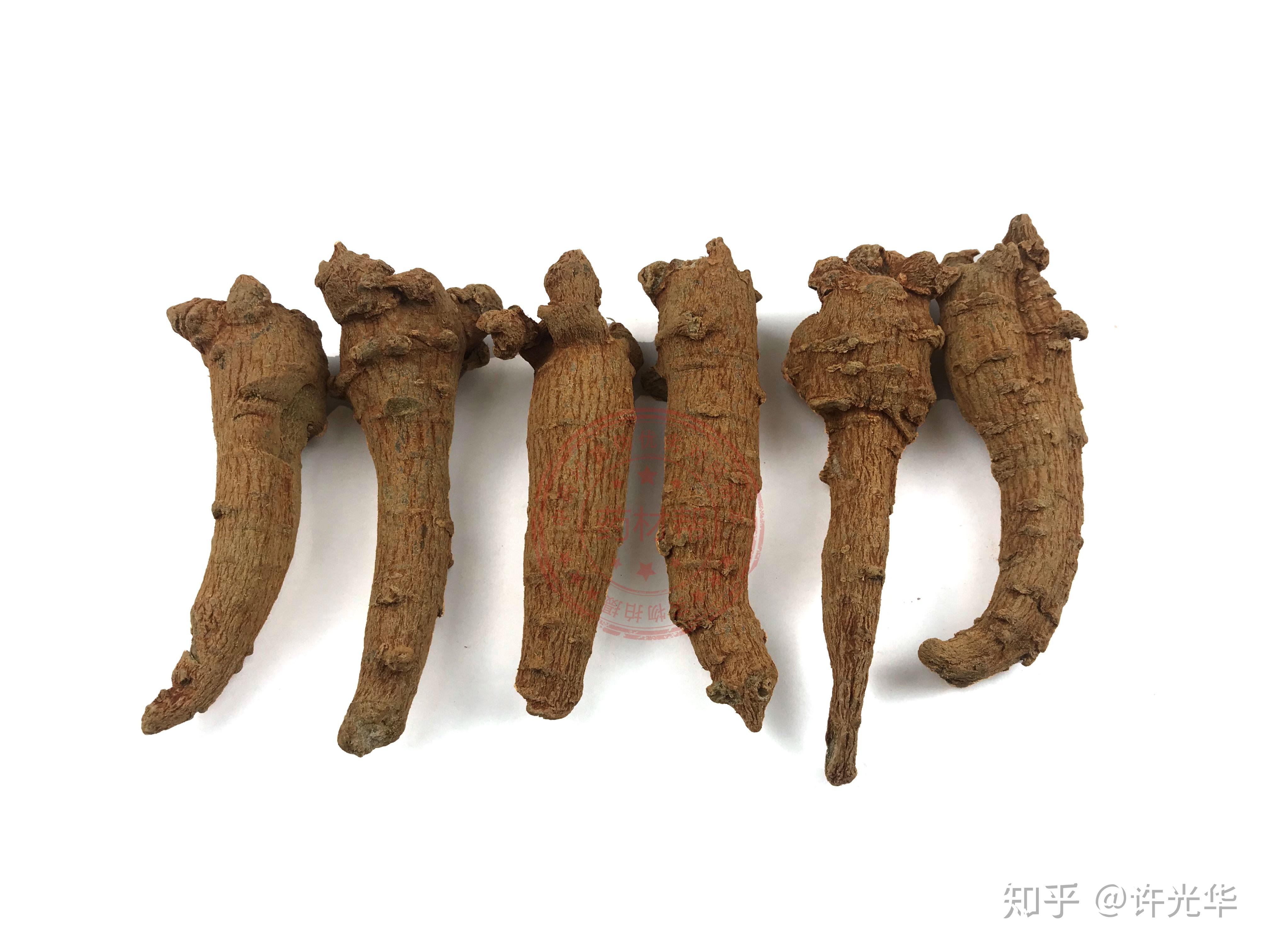 1,疙瘩七与萝卜七三七的形状,有团块状的,有长条状的,团块状的通常称