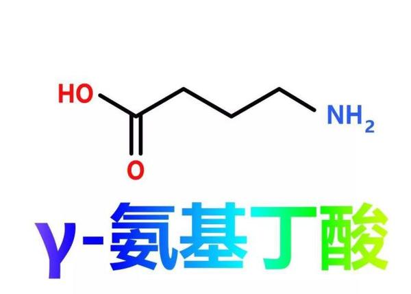 深入了解酵素中的营养功能成分——γ 氨基丁酸 知乎 