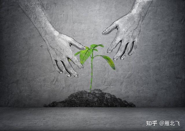 生命意义的新思考 - 知乎
