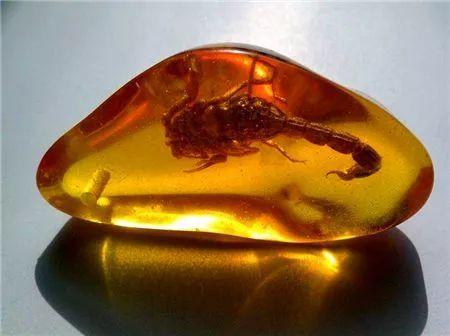 有趣的知识德国的汽车国石琥珀宫及国花等