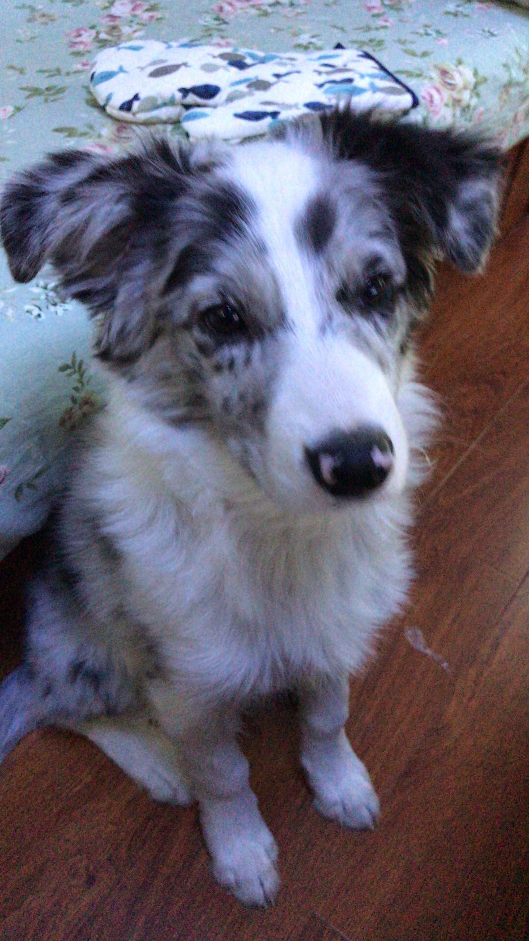 立耳教程 v2-aefe8b7f6c710b2007e52e368b1af286_r.jpg