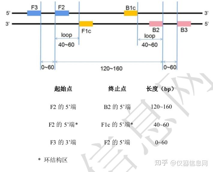 11万字讲懂PCR技术 & PCR仪器(持续更新) - 知乎
