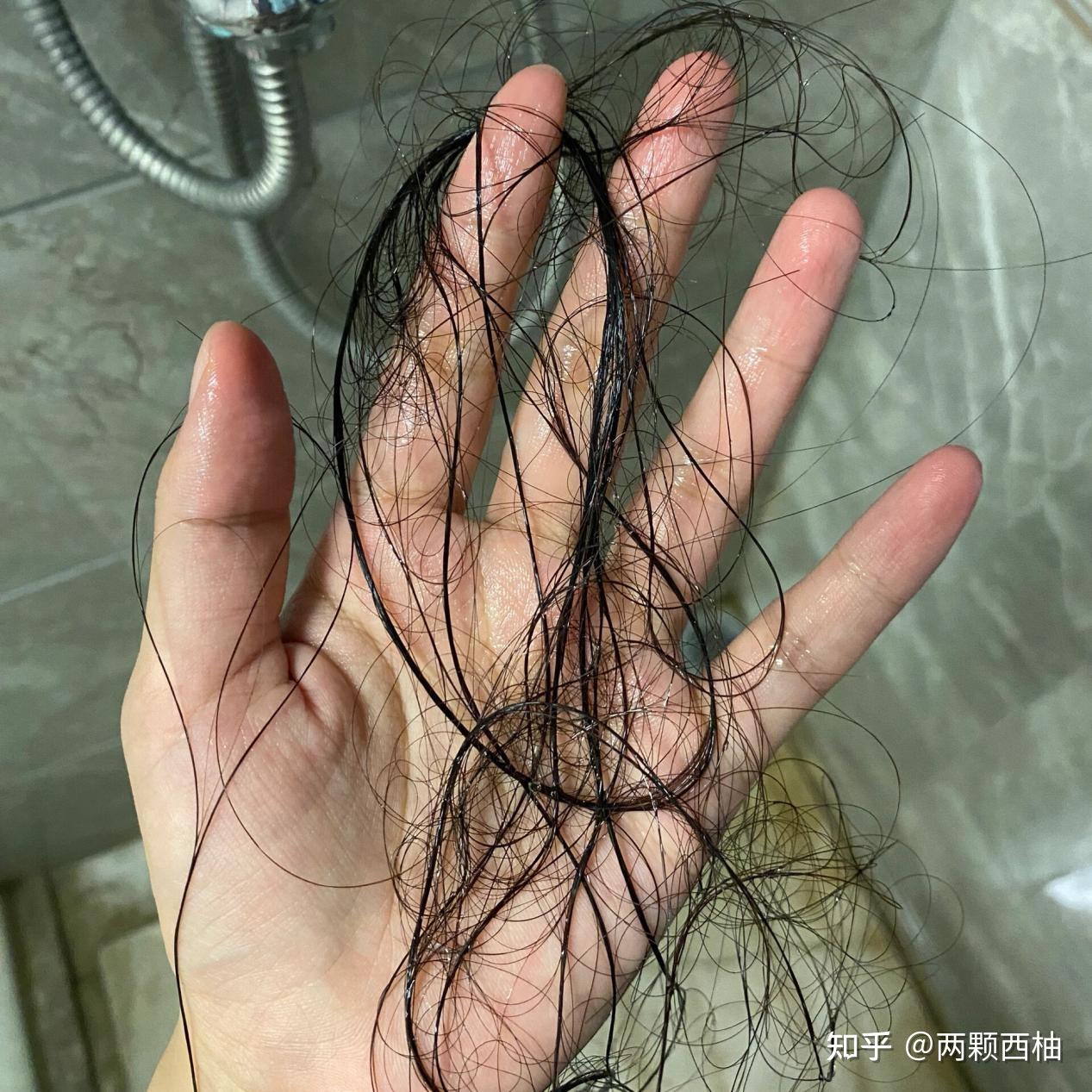 抱脸虫现实中有吗 v2-af16ddc6d68a5a31ec36959ce894101a_r.jpg