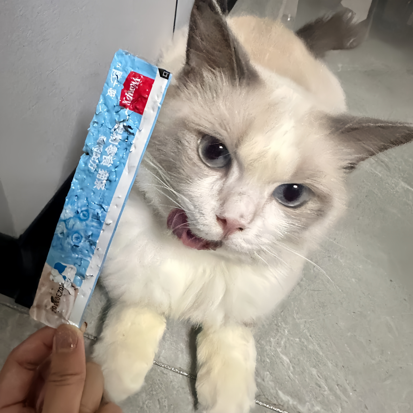 顽皮猫条怎么样？是毒猫条吗？ - 知乎