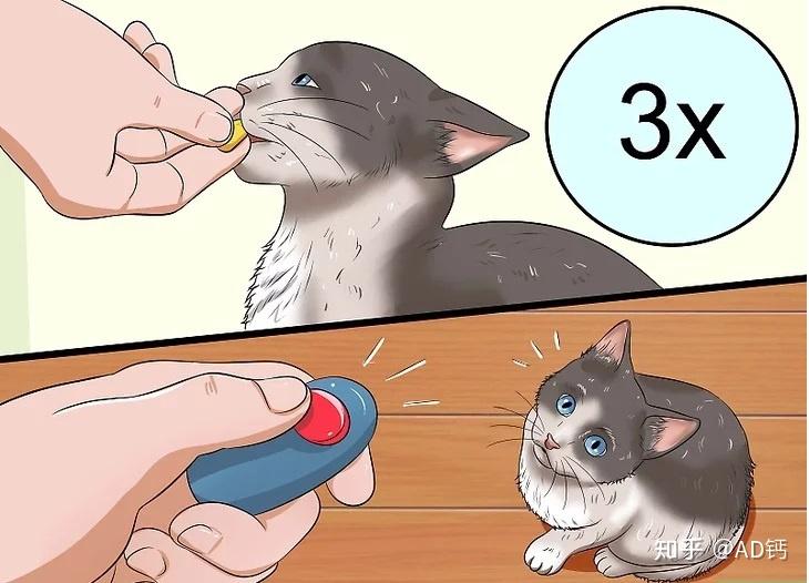 怎么看小猫吃饱没有 v2-af217855d3b859defcc47018f3ab4b1e_r.jpg