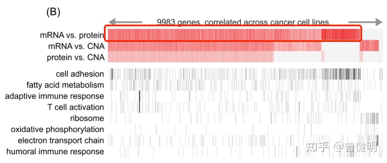 基因的拷贝数，mRNA转录，和蛋白翻译水平相关性迷思 - 知乎