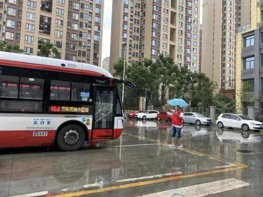 立刻停车上报"暴雨来临他总是站在羊犀立交桥下细细嘱咐往来的公交